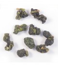 Xi Ding Oolong Tea