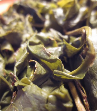 Hong Pei Jin Xuan - Roasted Milk Oolong Tea
