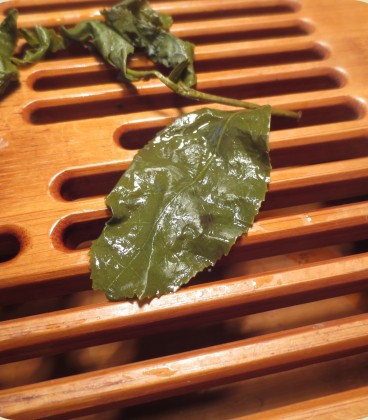Hong Pei Jin Xuan - Roasted Milk Oolong Tea