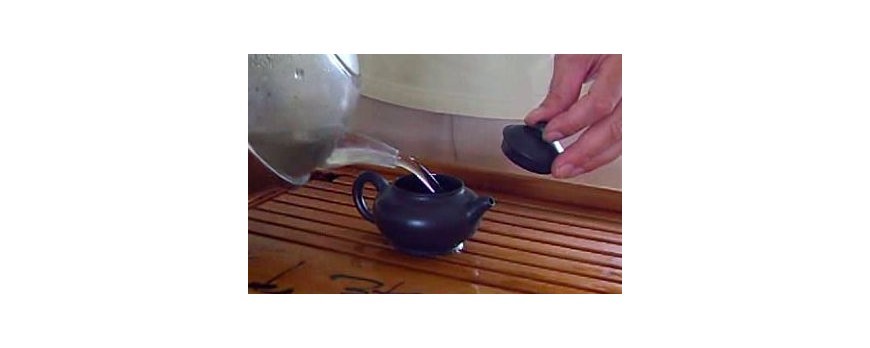 Making Taiwan Oolong Tea Gong Fu Style