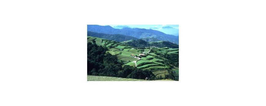 Li Shan